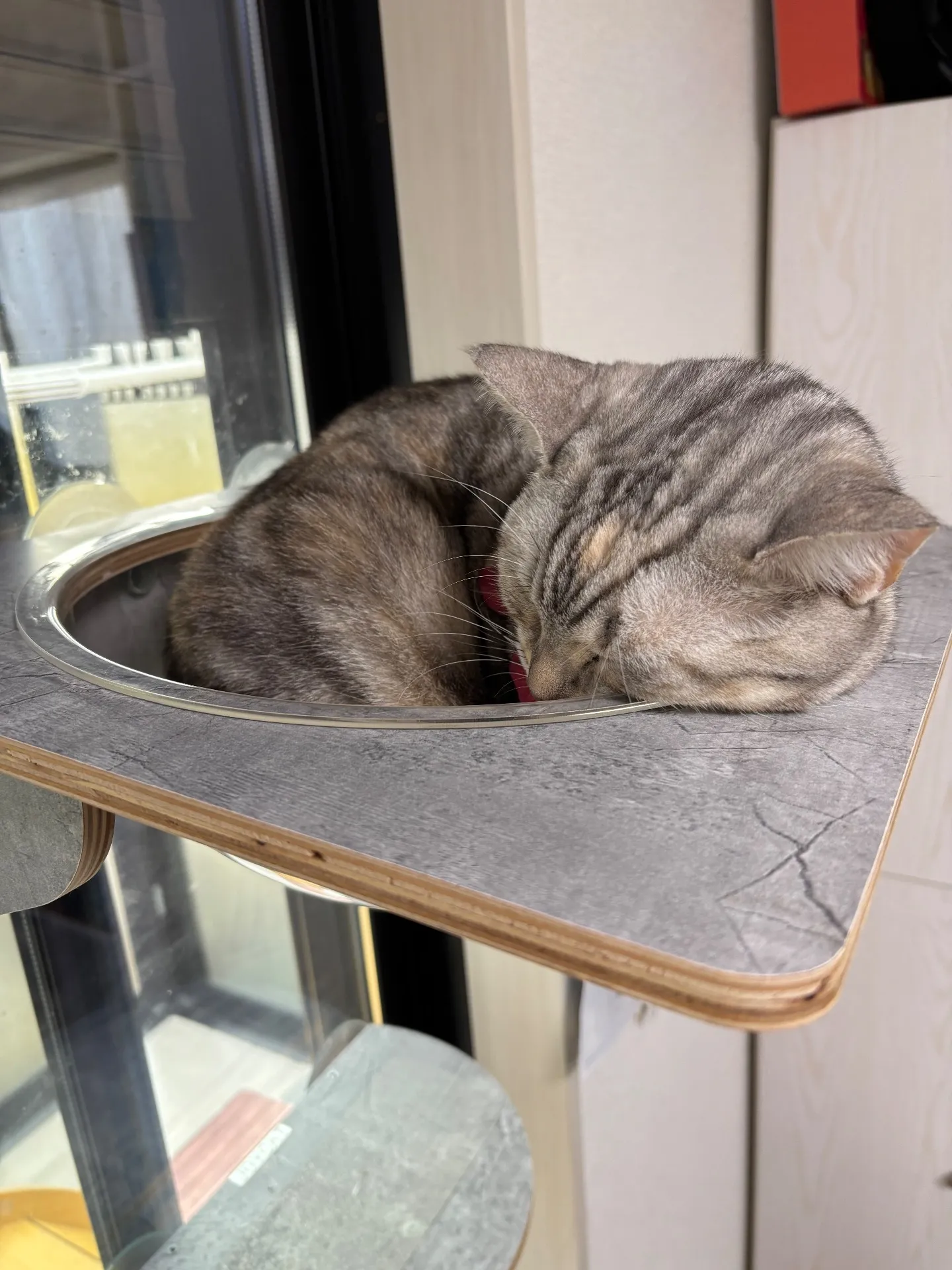 12月になりましたね^^