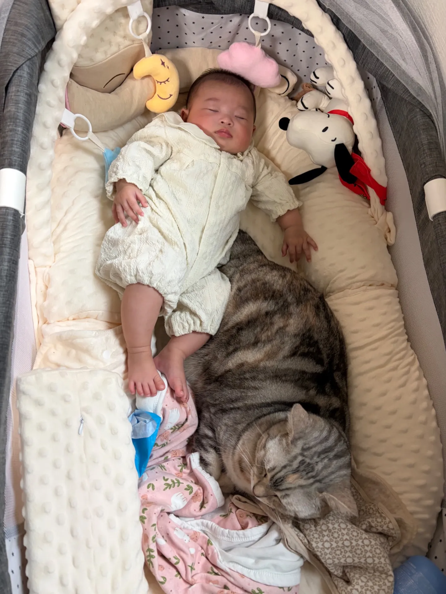 のんびりやさんたち☀️