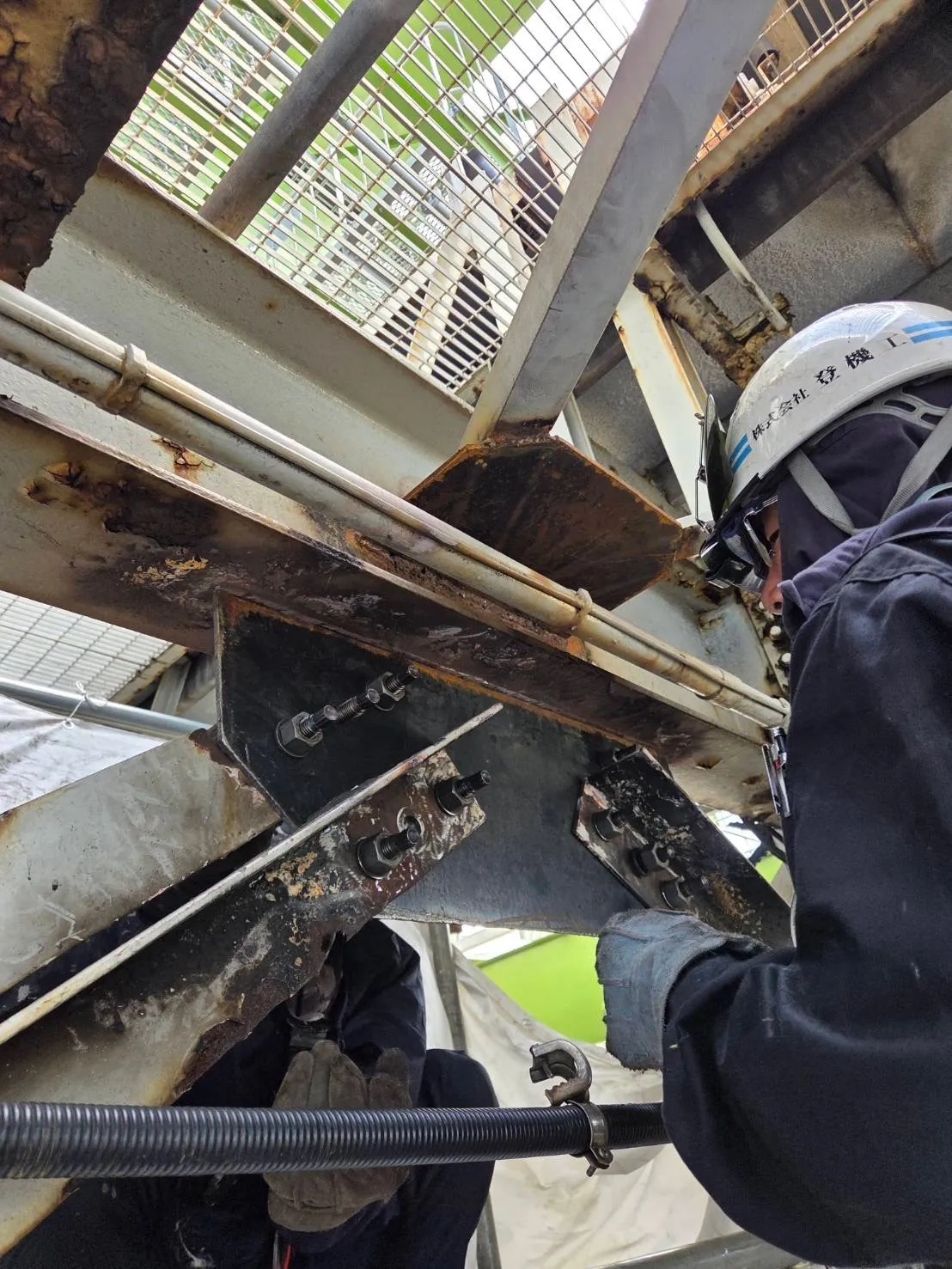 おはようございます☀️